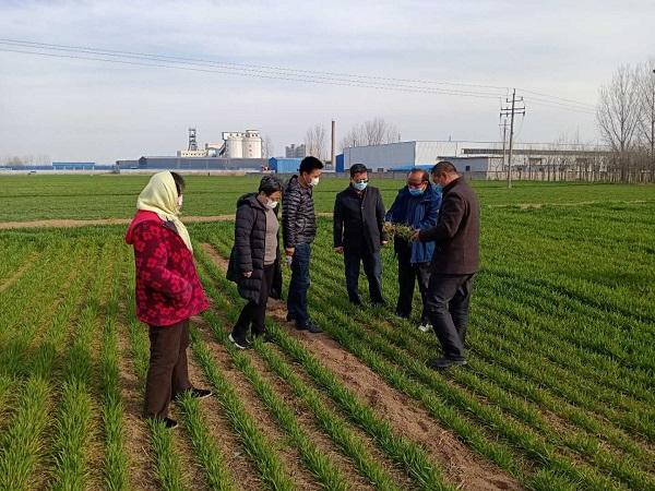 把“良田種”送到田間地頭 政企攜手全力保供顯擔當