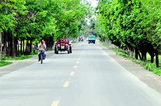 怎么管好農村公路？如何確保農村客運“真通實通”?