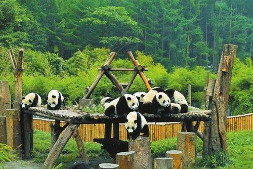 文旅“拼”創意更要重服務