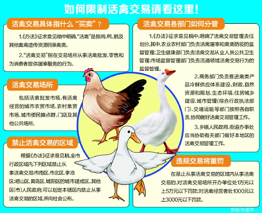 活禽交易青島擬設禁區 鼓勵實施活禽集中宰殺