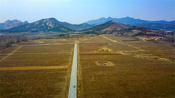 黃島法院：快速執行涉2000畝流轉土地案 助力春耕生產