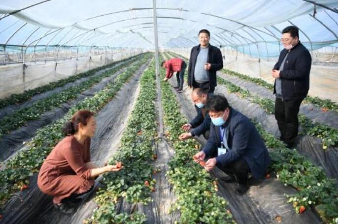 河南省鎮平縣晁陂鎮脫貧攻堅和民生項目全面復工復產