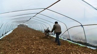 龍頭農企投巨資打造農業“科技高地”