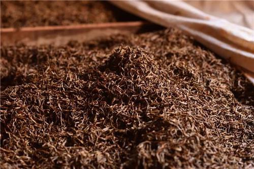 我國學者建立紅茶發酵量化判別模型