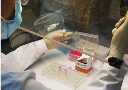 科研攻關為全球抗疫貢獻中國智慧