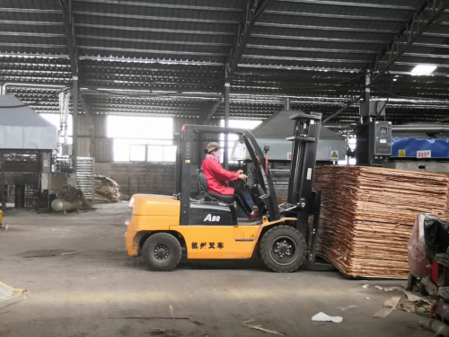 【打擂臺·抓攻堅】大仲村鎮百業復工復產忙 