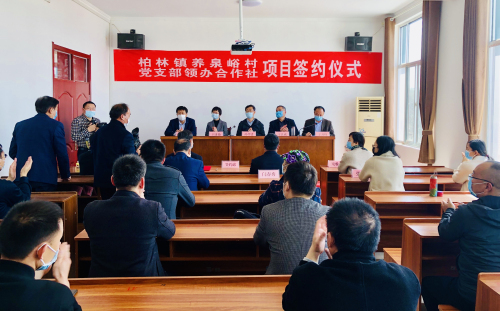 創新！農村黨支部領辦合作社項目落戶蒙山小村莊