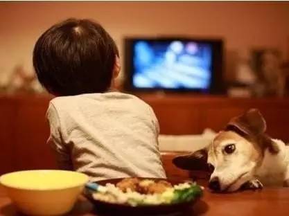 網游消費激增 如何避免“宅娃”荒于嬉