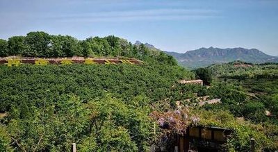 “五一游”搜索量增長超70% 國內游步入復蘇通道