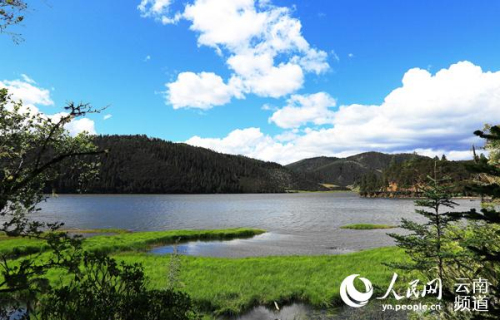 春暖花開 迪慶普達措景區恢復開放