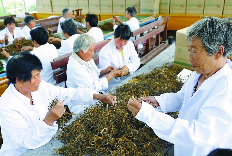 就業形勢回穩向好 一季度廣東省城鎮新增就業超29萬人