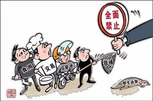 北京擬立法全面禁食陸生野生動物和列入名錄水生野生動物