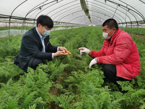 臨沂農商銀行系統11.63億元專項再貸款助力復工復產