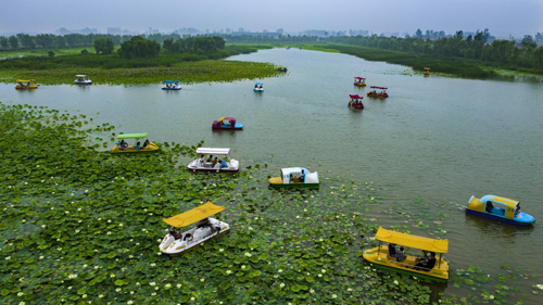 20200327090706929.jpg 2.jpg