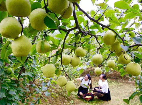 20200327090736929.jpg 3.jpg