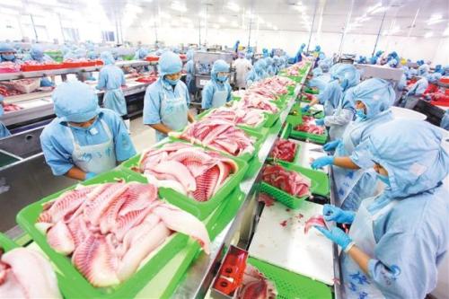 近5年我國累計發布1610項食品安全國家標準