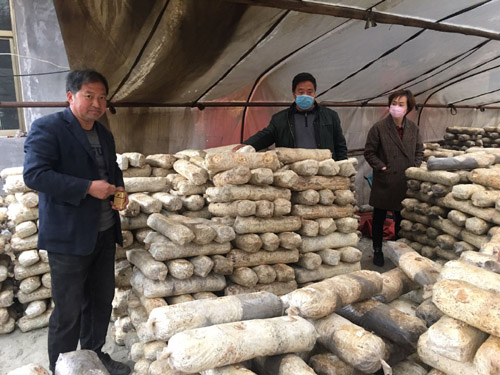 河南省南召縣小店鄉：脫貧致富種香菇，產業扶貧有路子