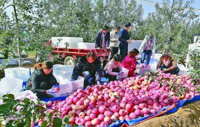 “十三五”時期我國產業扶貧、消費扶貧成果豐碩