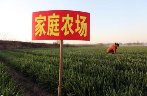 安徽省家庭農場數量連續十年全國第一