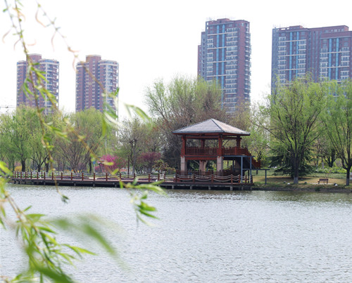 春到五洲湖