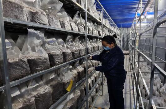 20200330150549261.jpg 20200330150549261.jpg