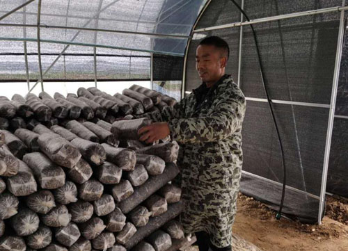 河南省南召縣貧困戶張振坡就業記