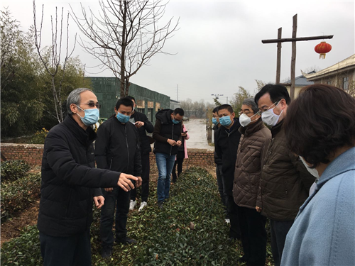 戰疫情勇擔當 茶學專家丁兆堂教授助力茶產業復工復產