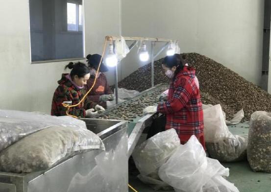 20200403173640839.jpg 20200403173640839.jpg