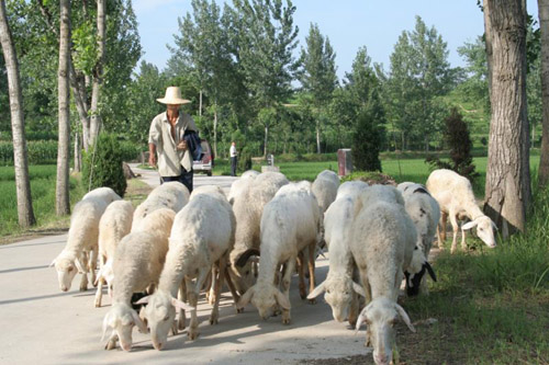 20200403174235232.jpg 112.jpg