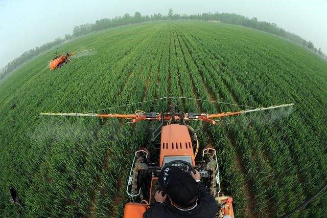 浙江加快“數字三農”建設