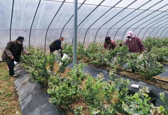 國務院扶貧辦：掛牌督戰更加有力 防返貧機制運行良好