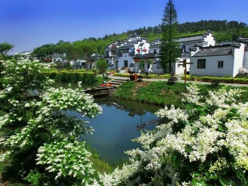 留住美麗鄉愁 江蘇公布首批107個省級傳統村落