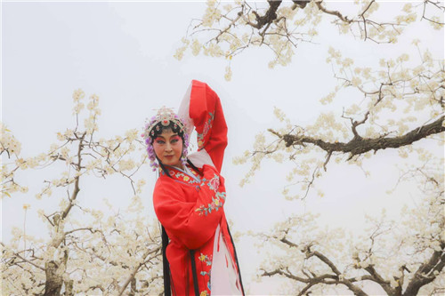 第二屆桃花源藝術節在青島西海岸新區開幕