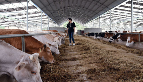 20200410112312899.jpg 2.jpg