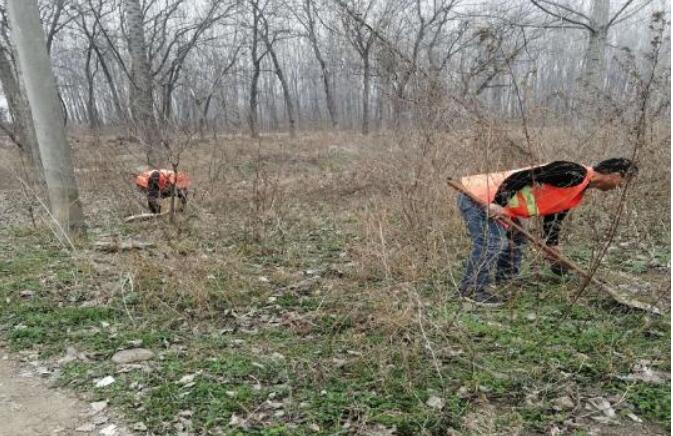 河南省南召縣云陽鎮：合理開發公益崗，變“輸血”為“造血”