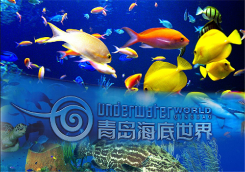 青島旅游資源整合實現新突破 海底世界劃入青島旅游集團