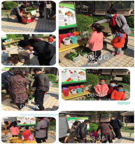 20200415160552990.jpg 2.jpg