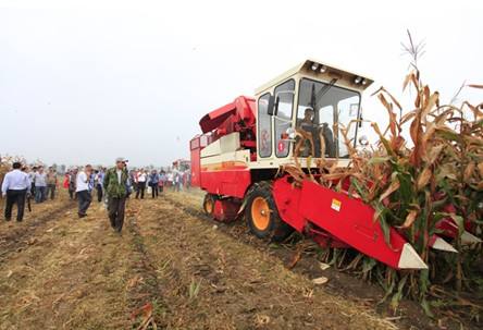 雷沃重工新推東北地區“特制”玉米機