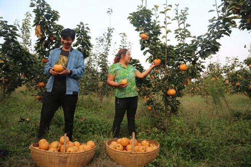 20200416105709493.jpg 2.jpg