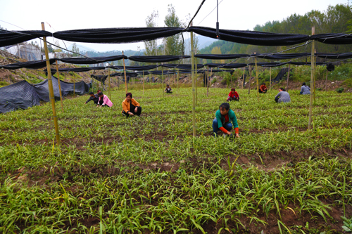 20200416105724147.jpg 3.jpg