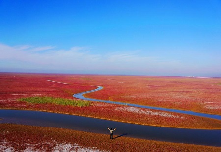 黃河口生態旅游區晉升國家5A級旅游景區!