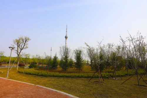 臨沂北城新區再添一處口袋公園