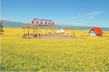 內蒙古巴彥淖爾：量大質優現代農牧業闊步向前