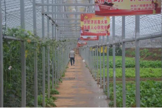 河南省方城縣廣陽鎮以高質量發展帶動貧困群眾穩定脫貧