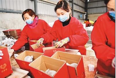 一季度全國農產品電商直播超過400萬場?涉農商品網絡零售額增長31%