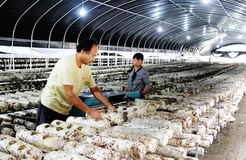 產業扶貧怎樣與鄉村振興銜接？農業農村部：不能畢其功于一役