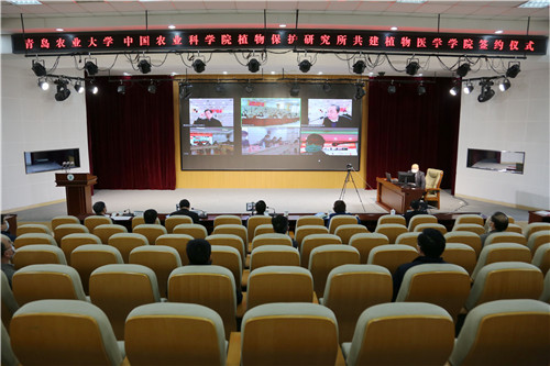 校所產學研融合  青島農業大學與中國農科院植物保護研究所共建植物醫學學院