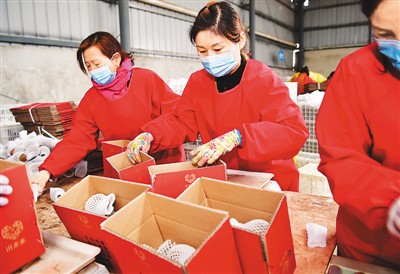 一季度全國農產品網絡零售額增31.0% 電商直播超400萬場