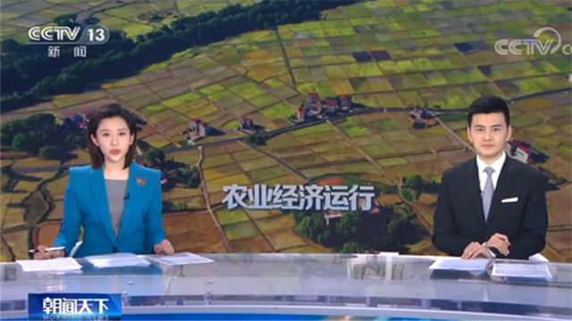 農業農村部：鄉村休閑旅游業逐步復蘇