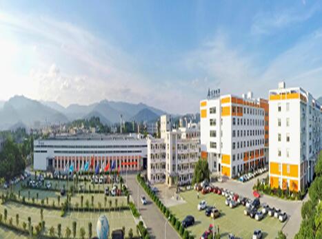 春江水暖龍頭先行！龍凈環保2019年度大考表現亮眼，營收突破百億！